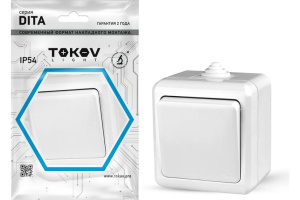 TKL-DT-V1-C01-IP54